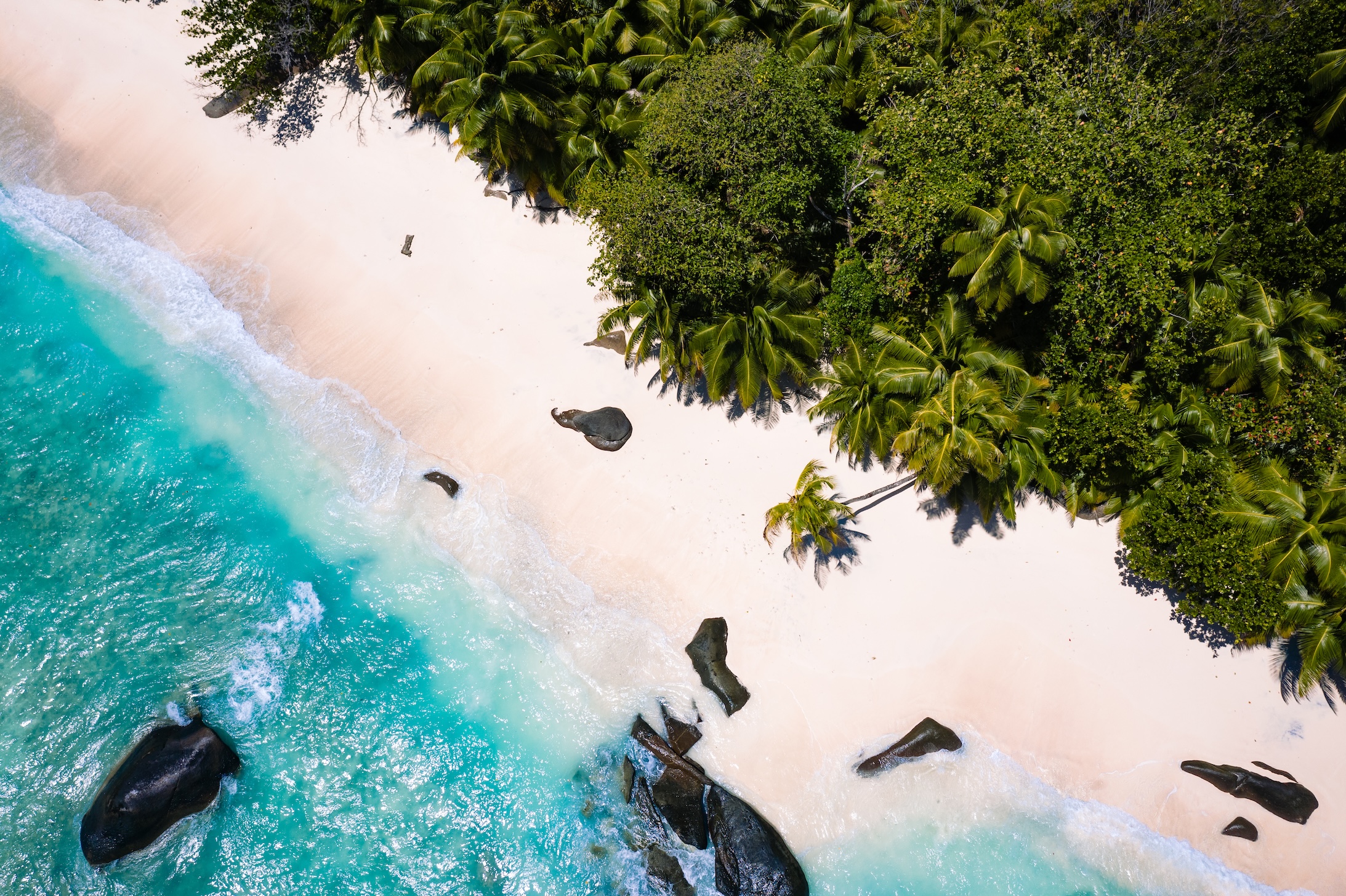 Niva Labriz, Сейшелы, фото, отели на сейшелах, лучшие отели на сейшелах