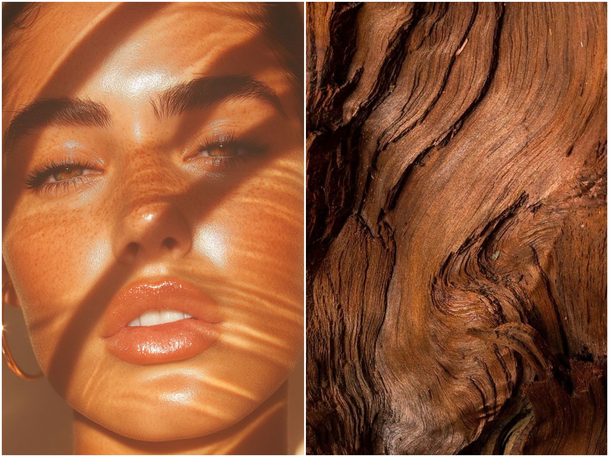 пачули, ароматы, аромамасла, значения