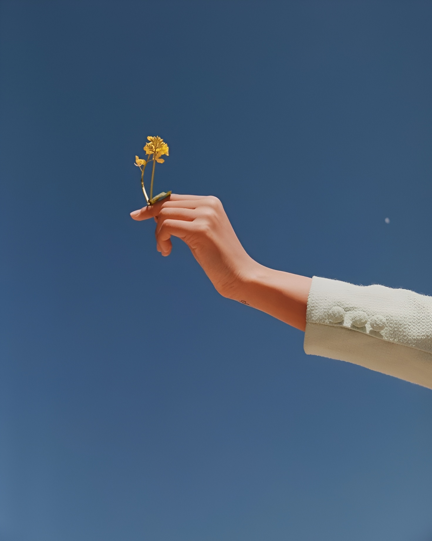 к чему приводит аллергия, отек квинке, сезонная аллергия, причины аллергии